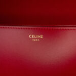 Celine  Teen Shiny Calfskin Triomphe Crossbody - Image 5
