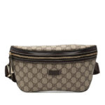 Gucci  GG Supreme Belt Bag Ladies 233269 520981 - Image 3