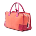 Loewe  Tricolor Goatskin Amazona 36 Ladies GLCN979Y4KL4ND2O - Image 4