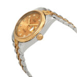 Rolex Oyster Perpetual Automatic Chronometer Diamond Champagne Dial Men's Watch - Image 3