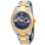 Rolex Datejust 41 Slate Dial Automatic Men's Steel and 18kt Yellow Gold Oyster Watch 126303GYRO